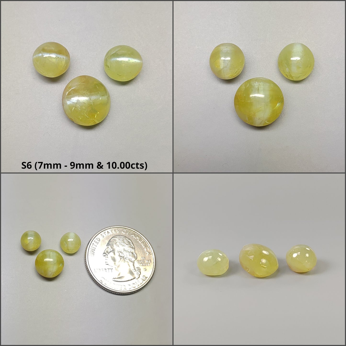 Round Cat's Eye